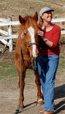 equine massage school